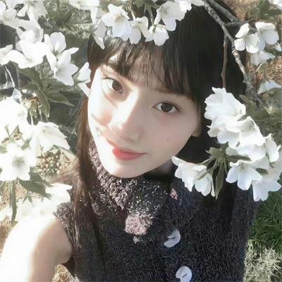 2019天猫双十一狂欢夜